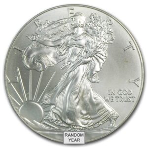 1 oz .999 Fine Silver - American Silver Eagle (Cull, Tarnished, Imperfect)